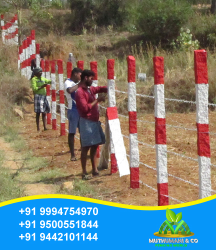 Fencing Stone Pillar  in Chennai